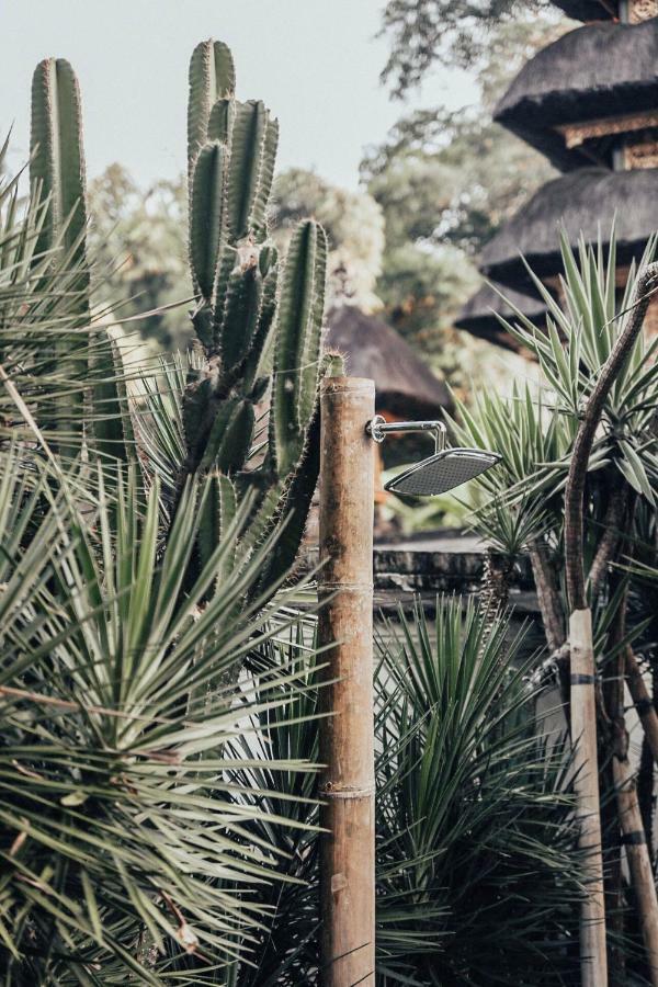Vila The Seseh House Canggu Exteriér fotografie